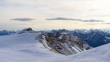 20210313-DSC00422