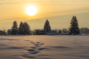 20210116-DSC08976