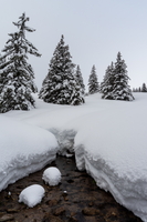 20210131-DSC09675