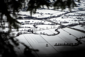 20201212-DSC07258