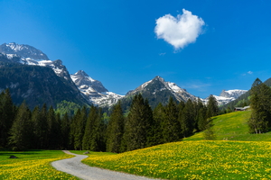 20200509-DSC08502