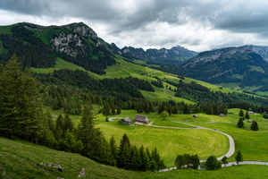 20200606-DSC09501