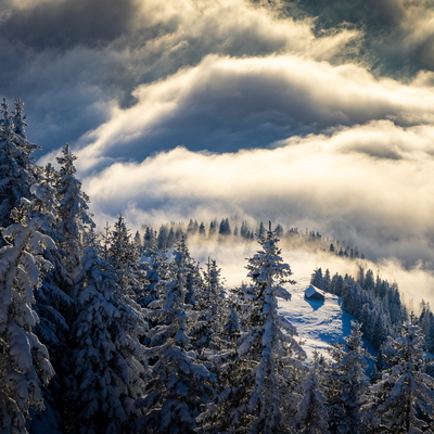 Landschaft