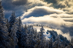Landschaft