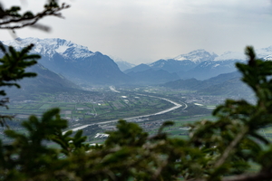 20190422-DSC02983