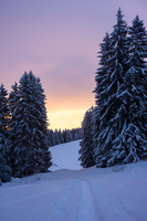 20190112-DSC09120