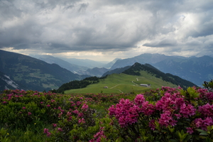20180622-DSC01963
