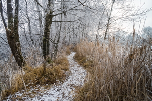 20170102-DSC00330