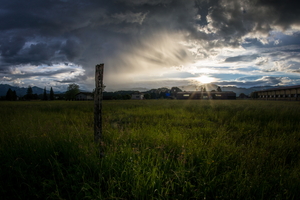 _DSC1796