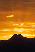 20230812-DSC02289