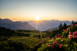 20230723-DSC03757