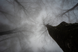 20221203-DSC00665