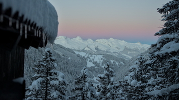 20250215_wedau_ch_DSC08460